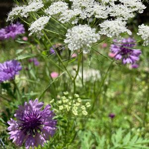 Meet your Posher, Tonya